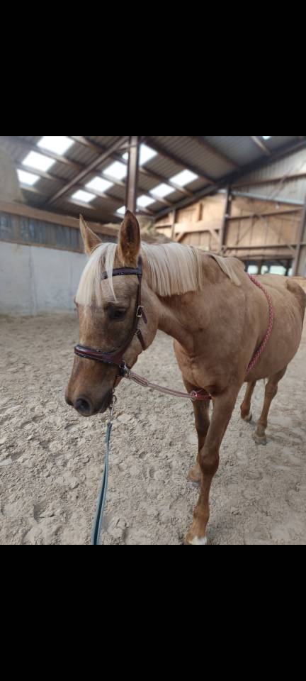 ? Recherche demi-pension s&eacute;rieuse &ndash; secteur Pontarlier