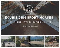 STAGE Cavalier Soigneur (H/F) &mdash; &Eacute;curie de sport &agrave; Soisy