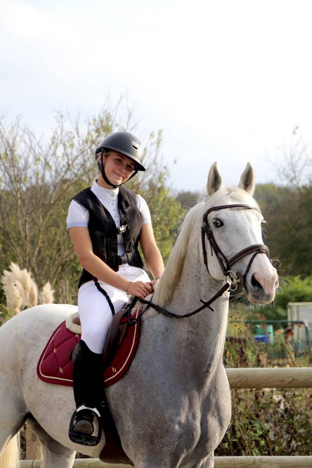 Cheval &agrave; vendre ou &agrave; louer 