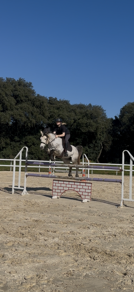 Poney de sport 