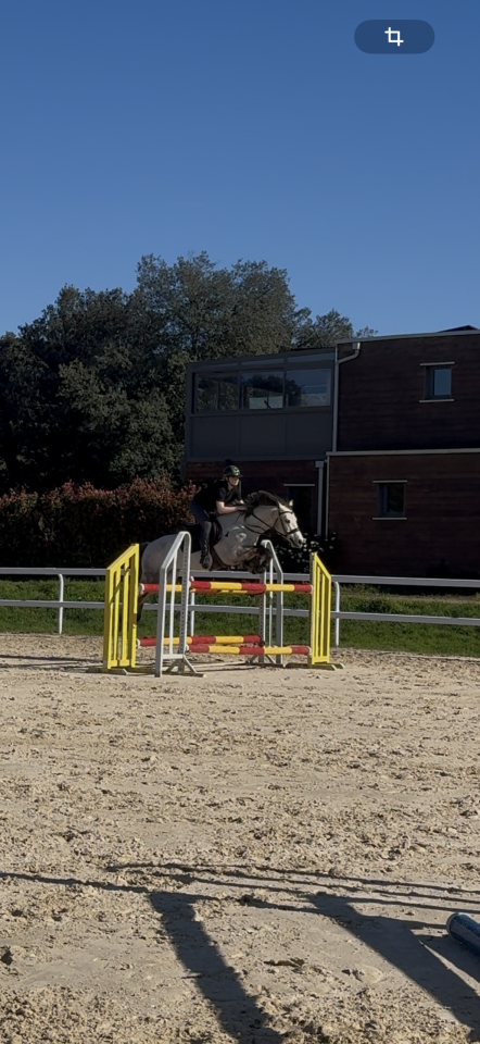 Poney de sport 