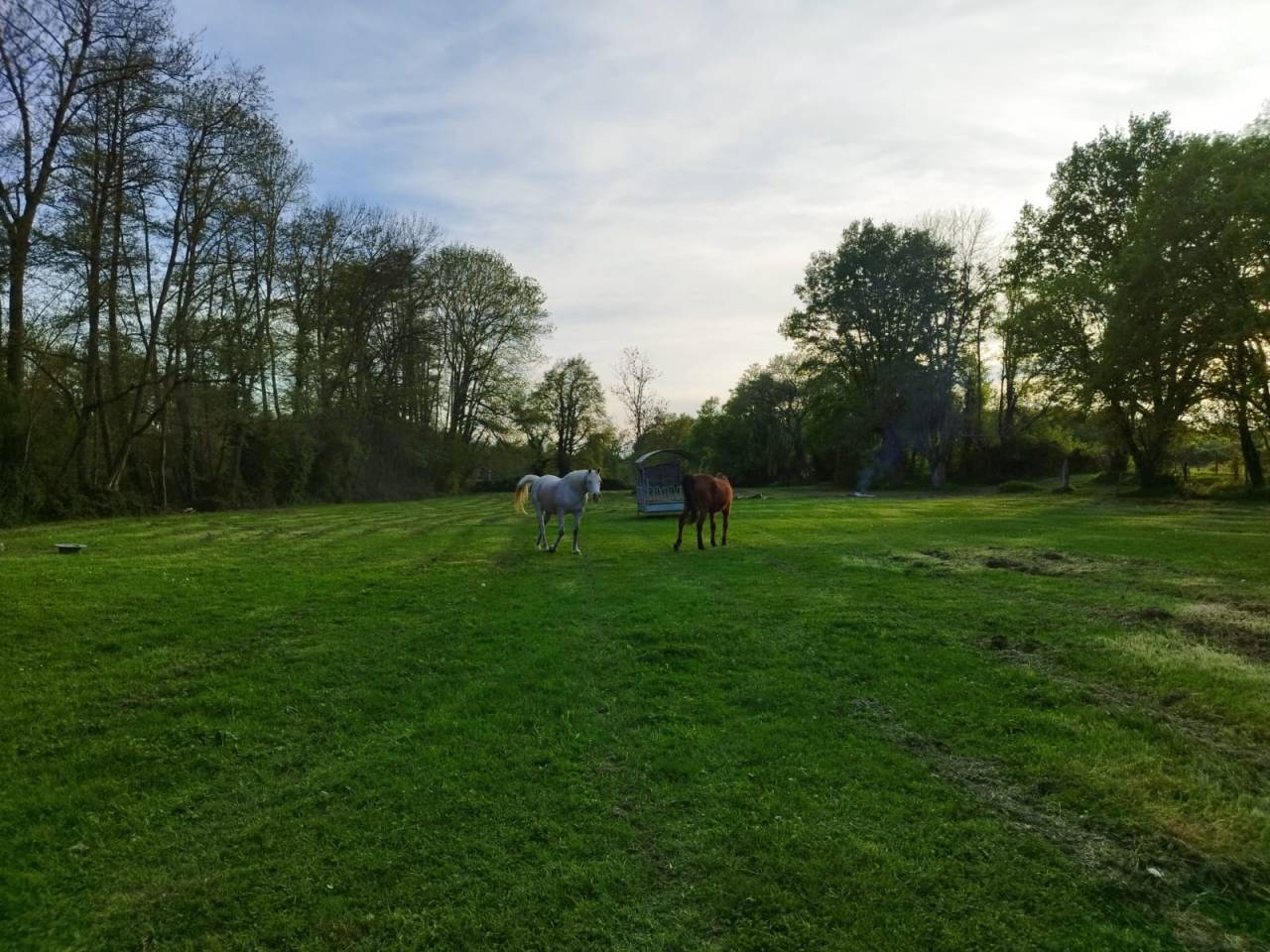 Propri&eacute;t&eacute; 6 hectares -       Sury pr&egrave;s L&eacute;r&eacute; , Centre