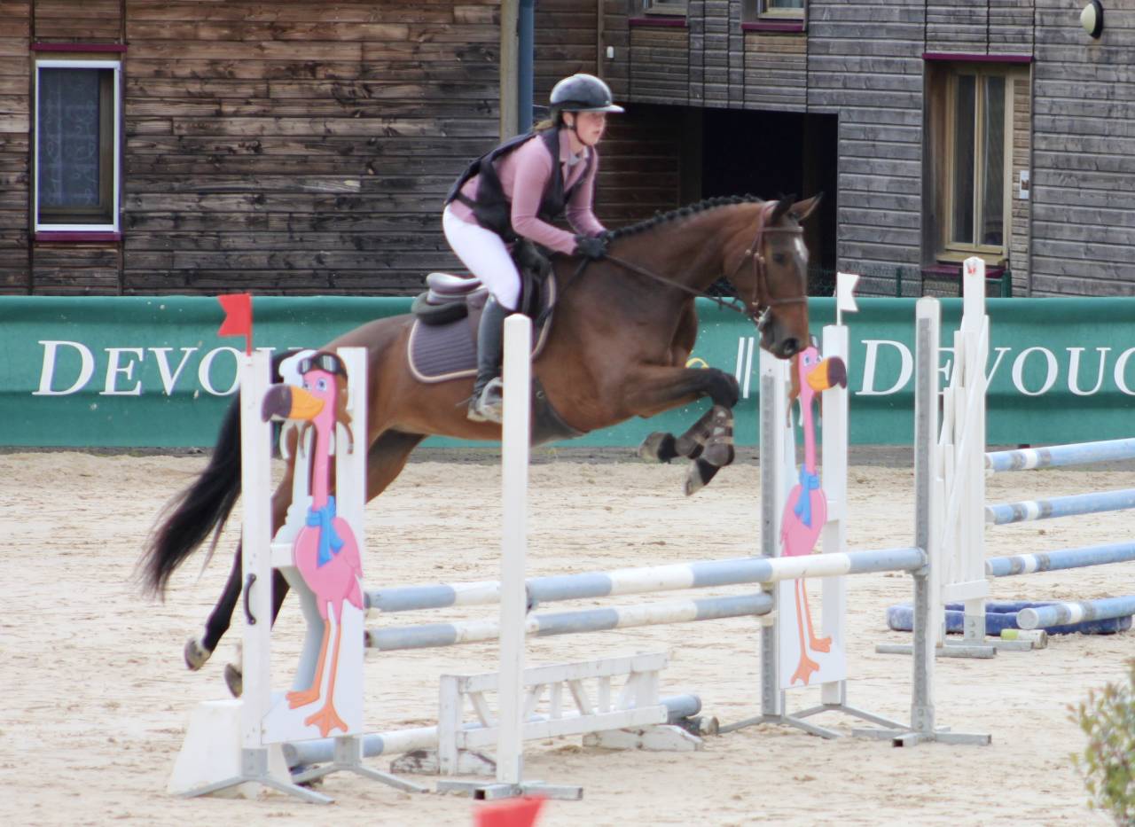 Jument de 4ans CSO 