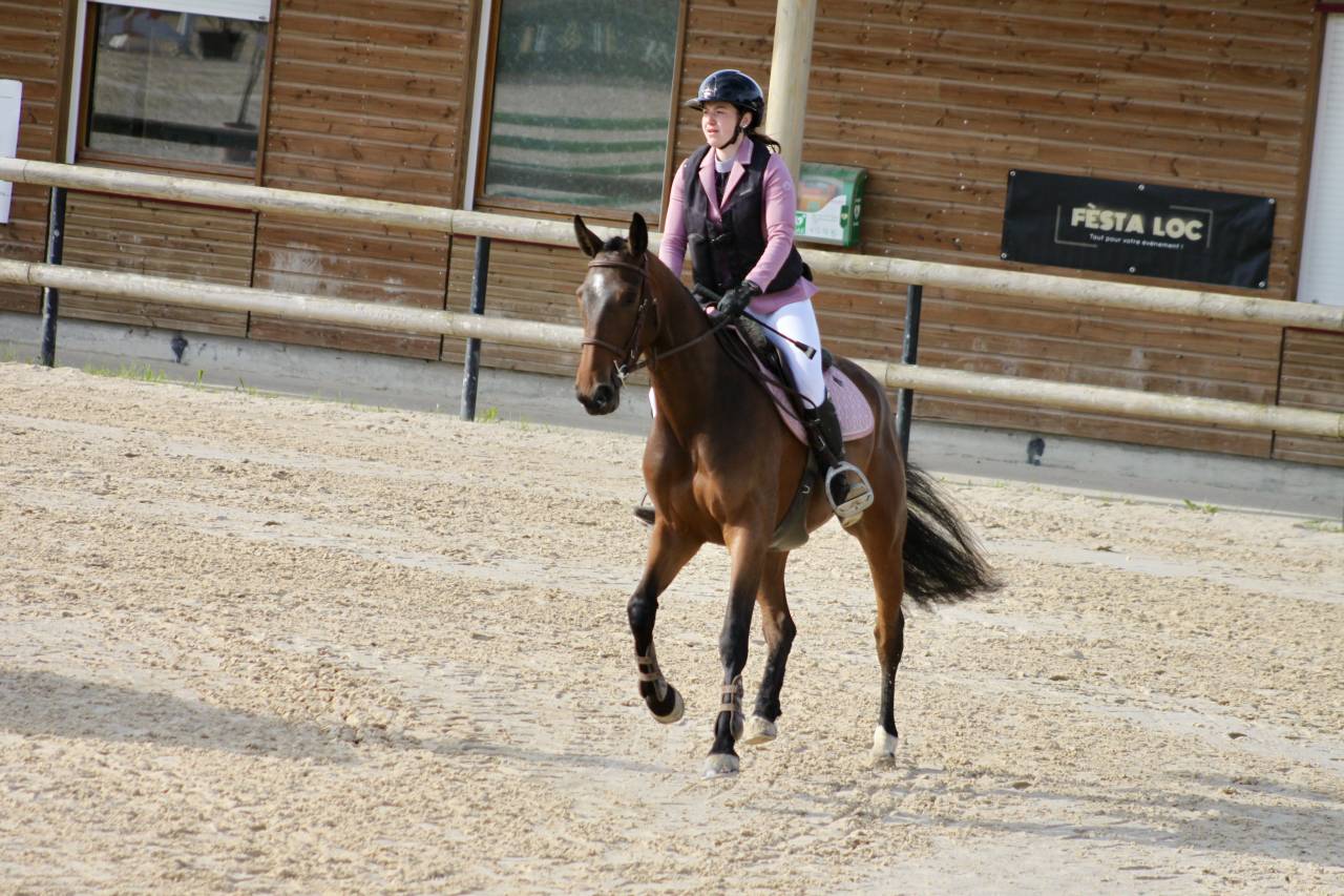 Jument de 4ans CSO 