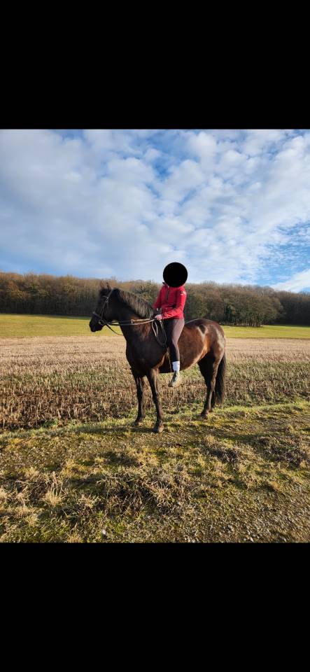 Zafira &ndash; Jument ONC polyvalente avec du caract&egrave;re