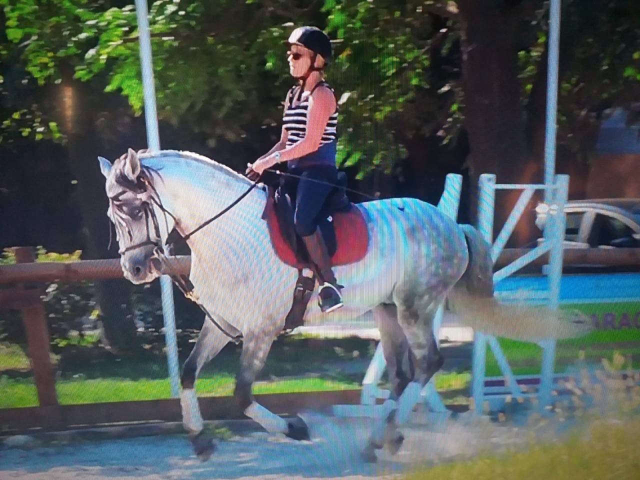 Cheval