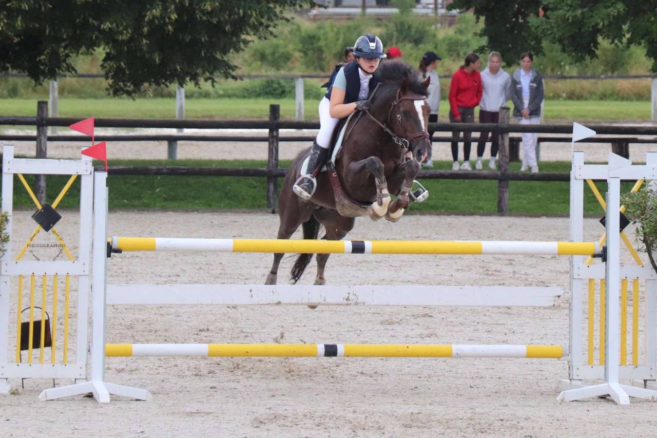 &Agrave; vendre poney D