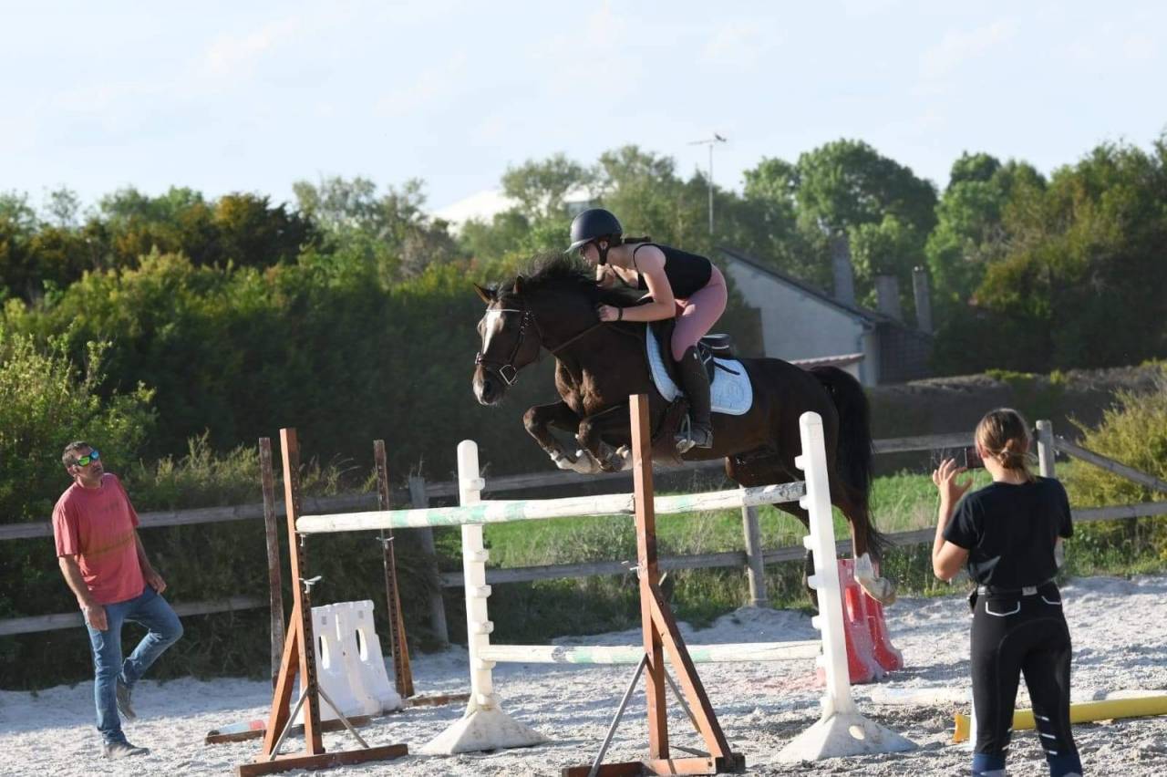 &Agrave; vendre poney D