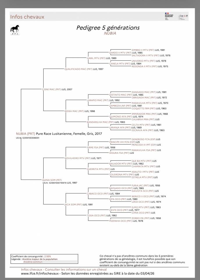 Poulini&egrave;re lusitanienne 