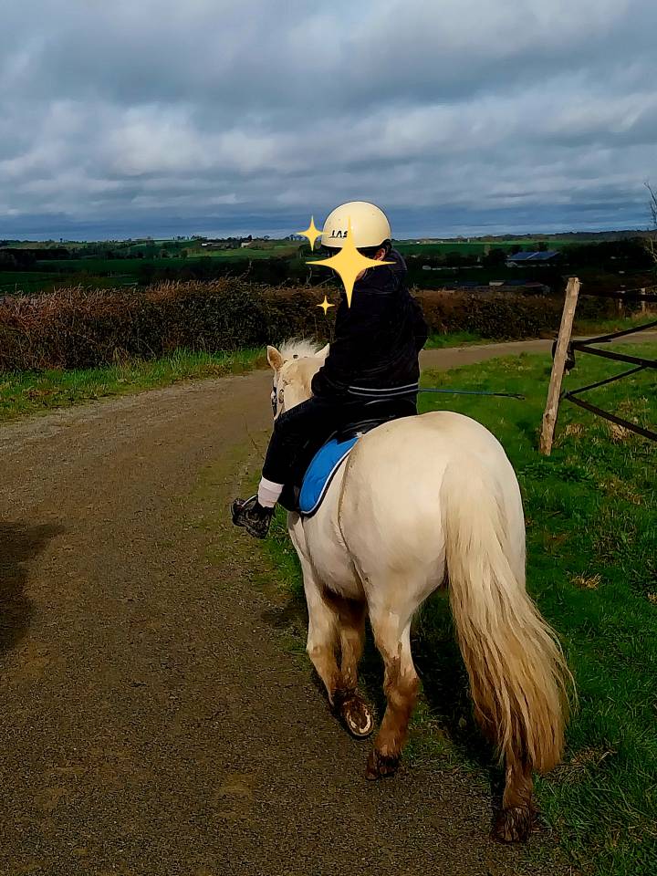 ✨ Adorable ponette &agrave; vendre &ndash; id&eacute;ale famille / loisir ✨