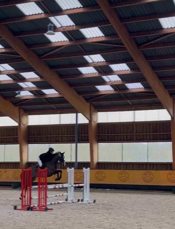 Recherche DP ou location pour ma jument 