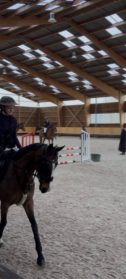 Recherche DP ou location pour ma jument 