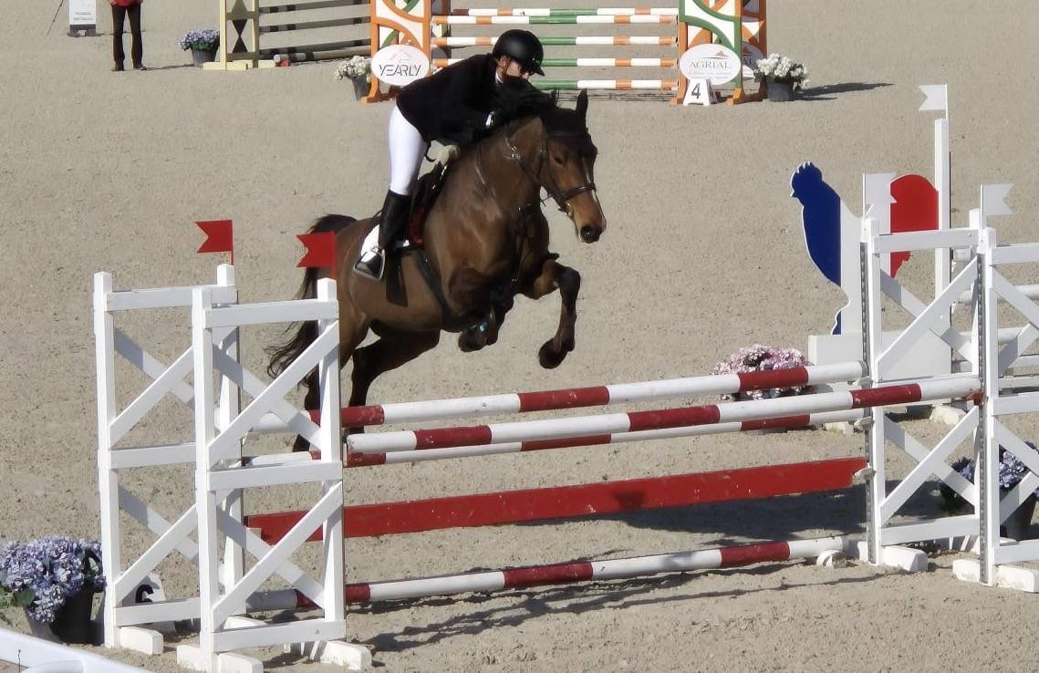 Jument CSO 10 ans SF