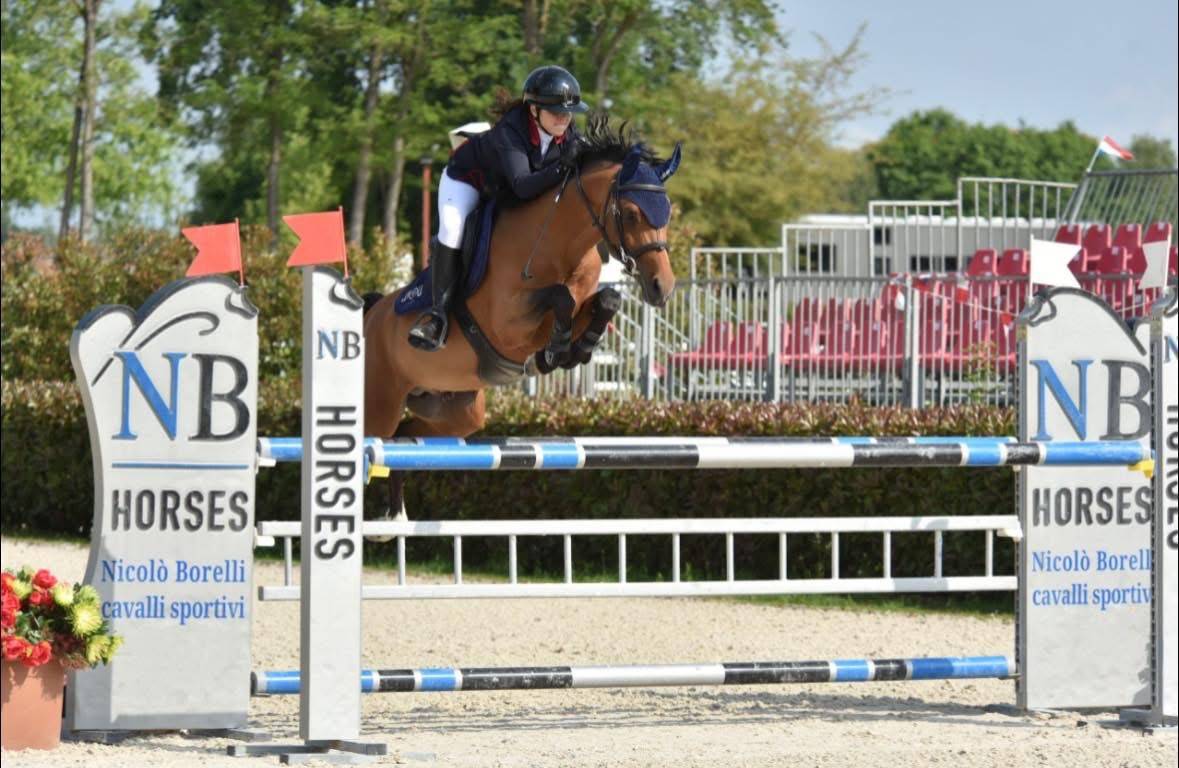 &Agrave; vendre Umbro poney pr&ecirc;t sur 120/125