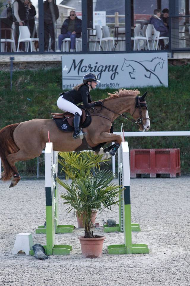 Super cheval de 8ans &agrave; vendre 