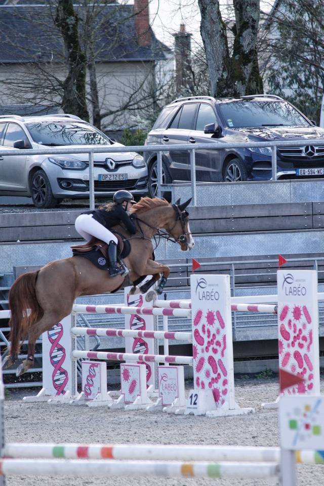 Super cheval de 8ans &agrave; vendre 