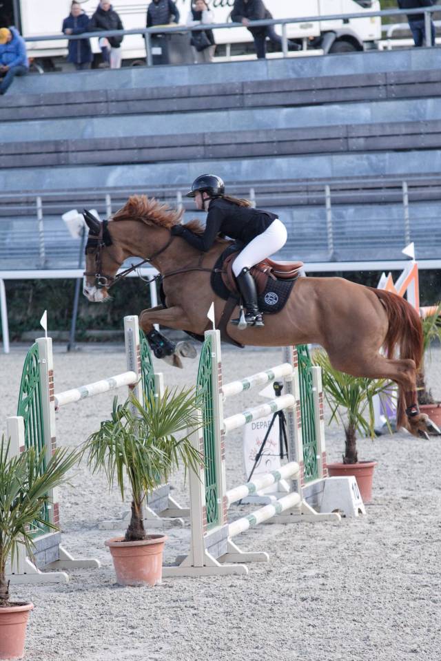 Super cheval de 8ans &agrave; vendre 