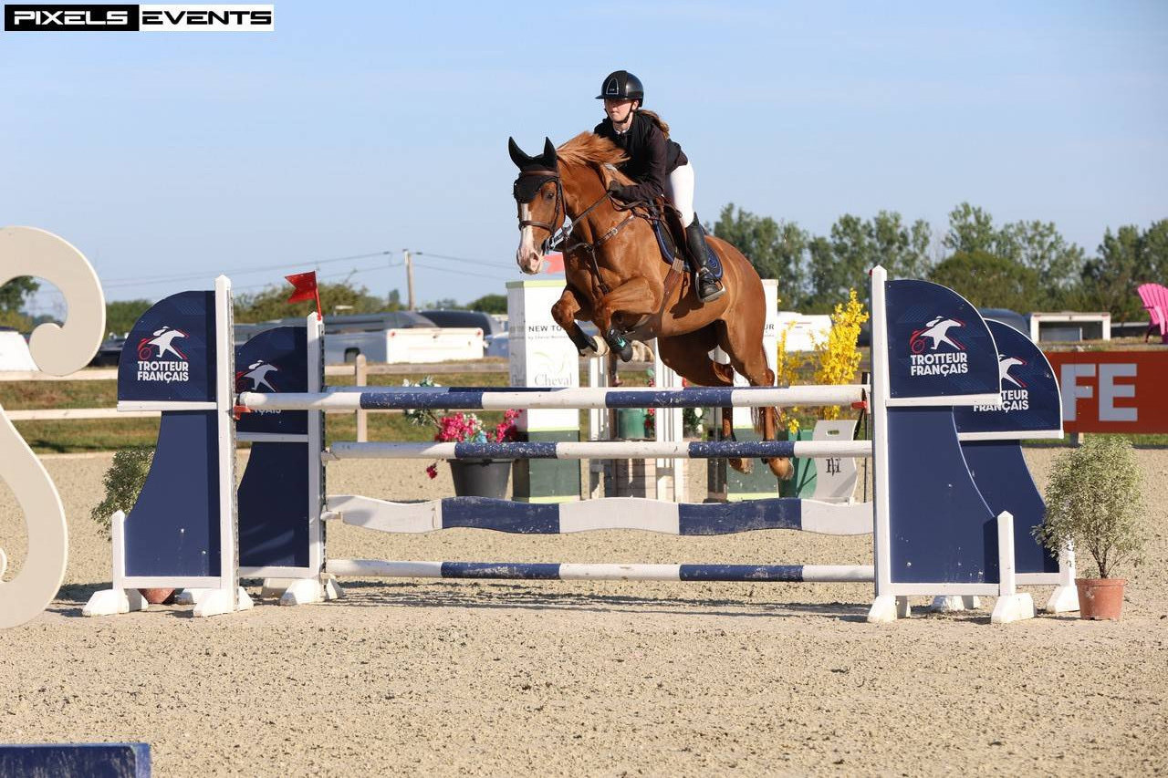 Super cheval de 8ans &agrave; vendre 