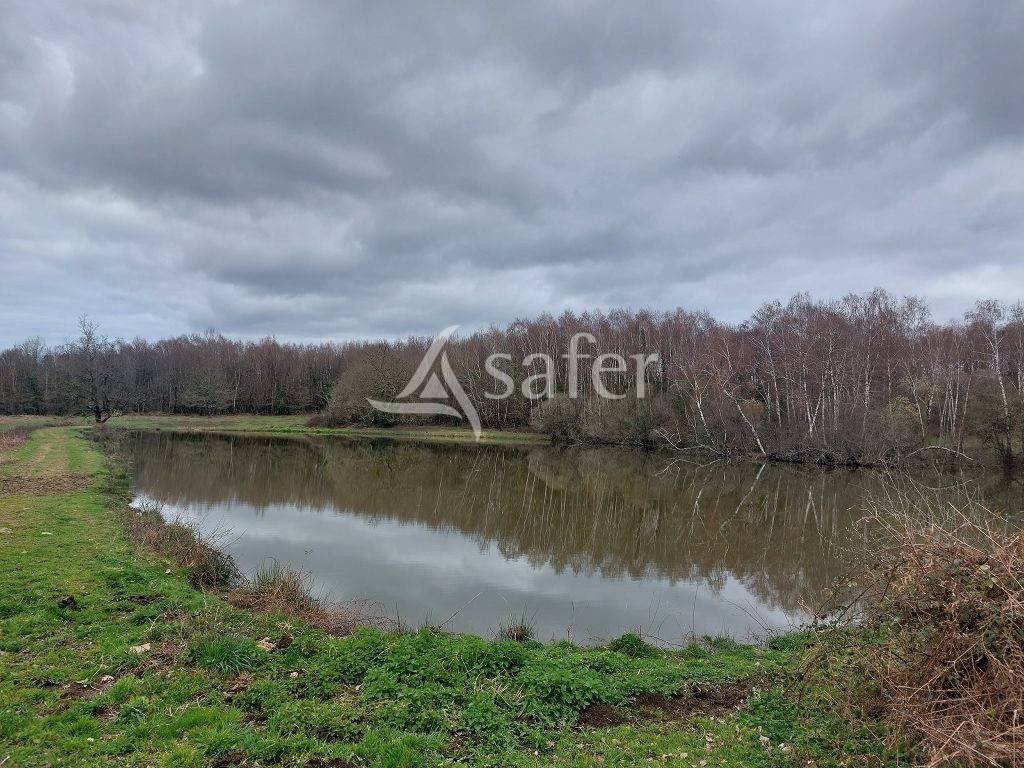 Ensemble b&acirc;ti avec environ 12ha60 et son plan d'eau.