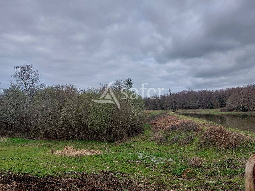 Ensemble b&acirc;ti avec environ 12ha60 et son plan d'eau.