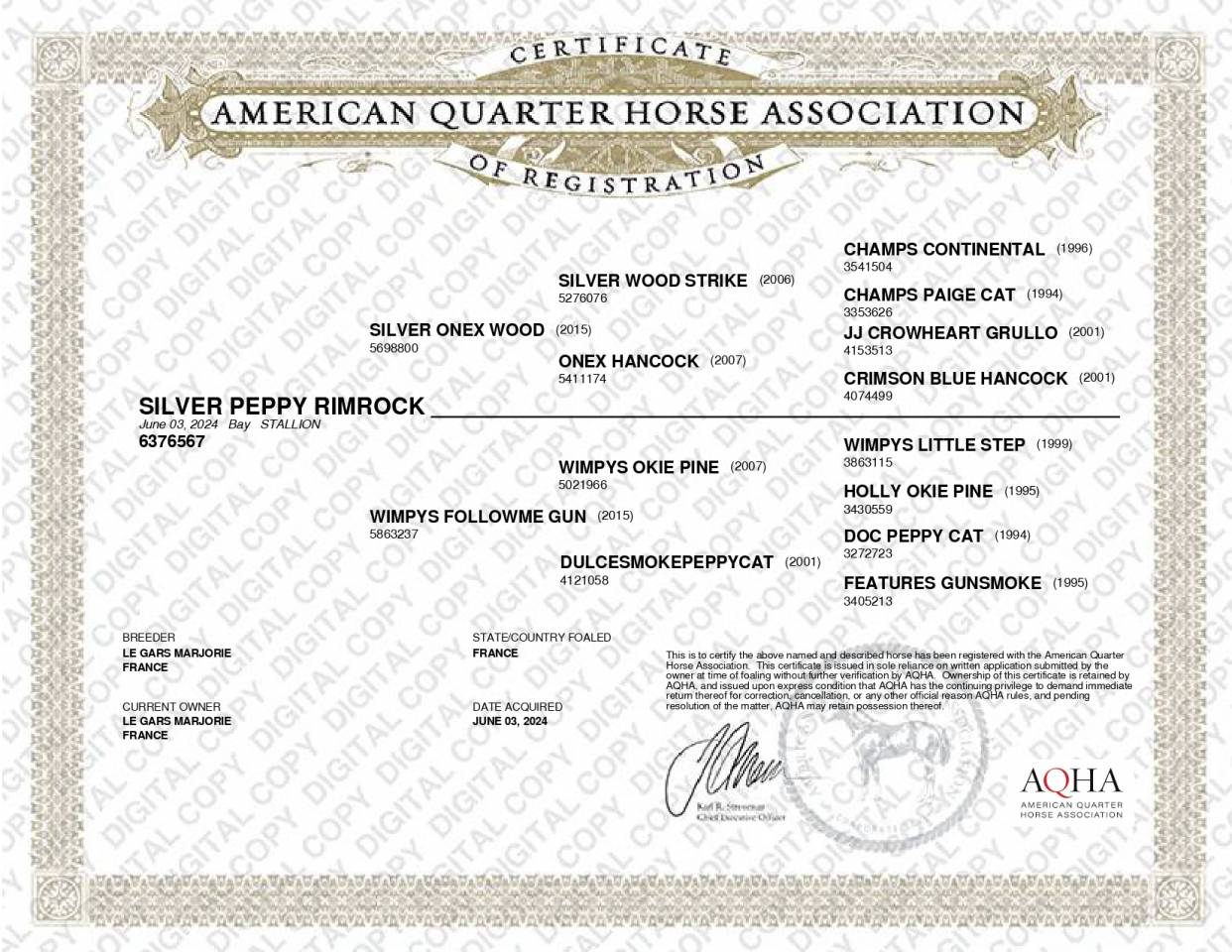 QUARTER HORSE PP FONDATION - TOP MENTAL - 2 ANS - DISPO