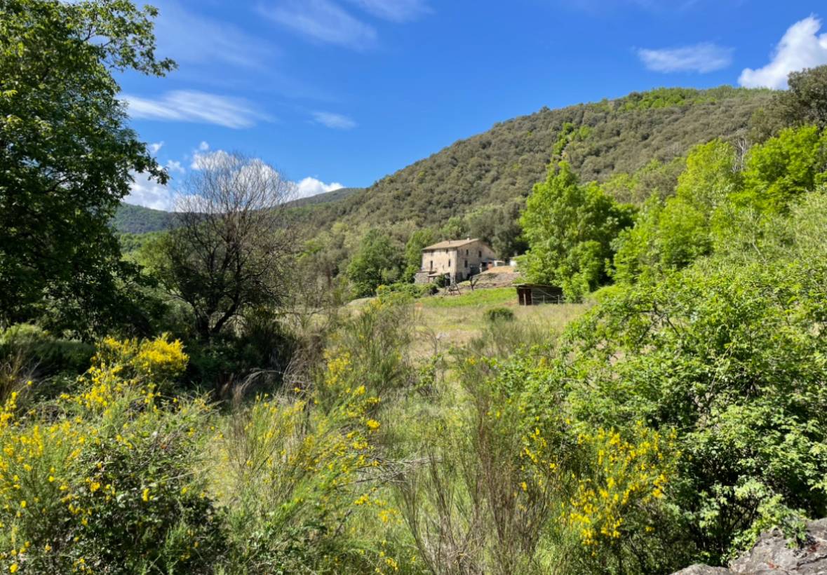 Mas en C&eacute;vennes 