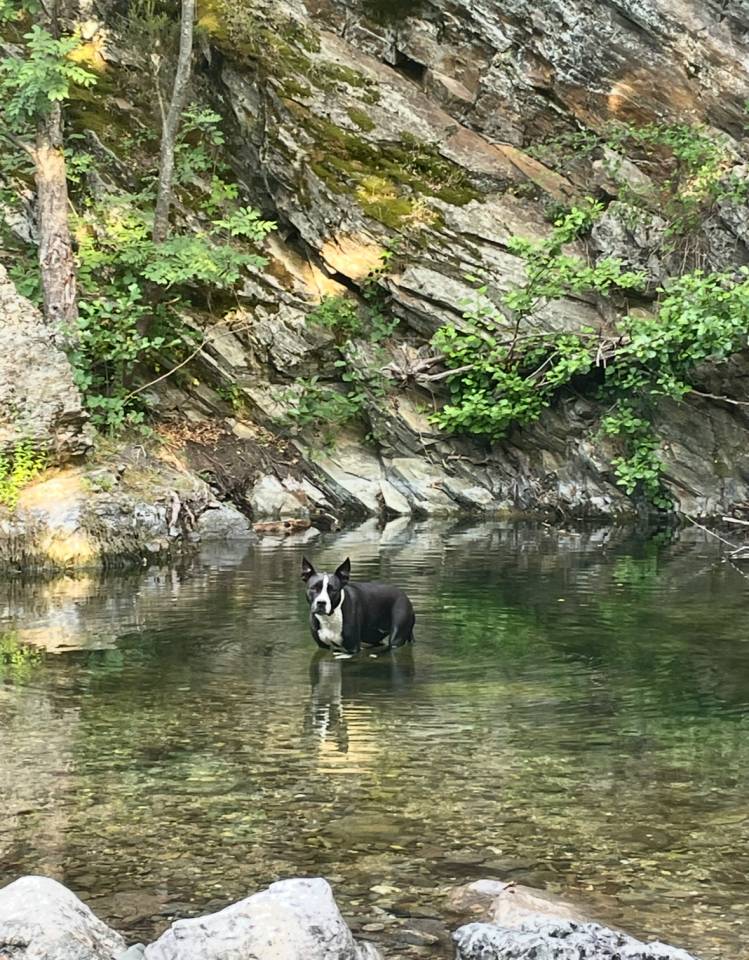 Mas en C&eacute;vennes 