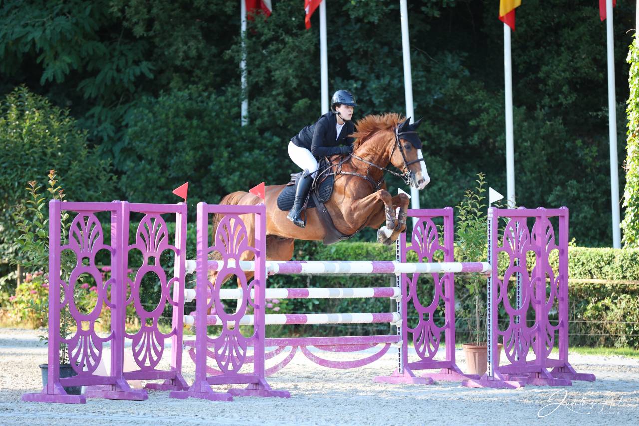 Cheval pour sauter des petites &eacute;preuves 