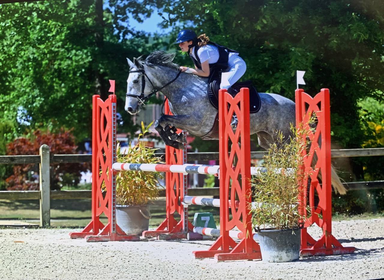 Ponette de sport Connemara Part Bred