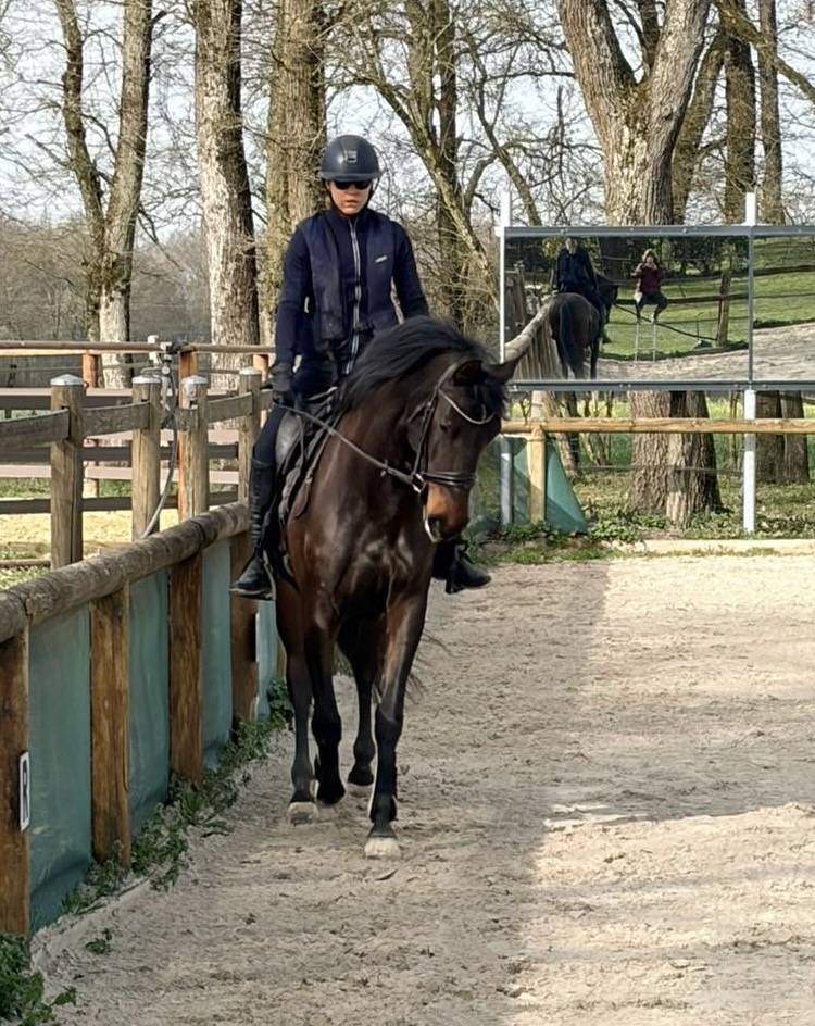 ?PRE 12 ans&ndash;Jument coup de c&oelig;ur, gentille et appliqu&eacute;e