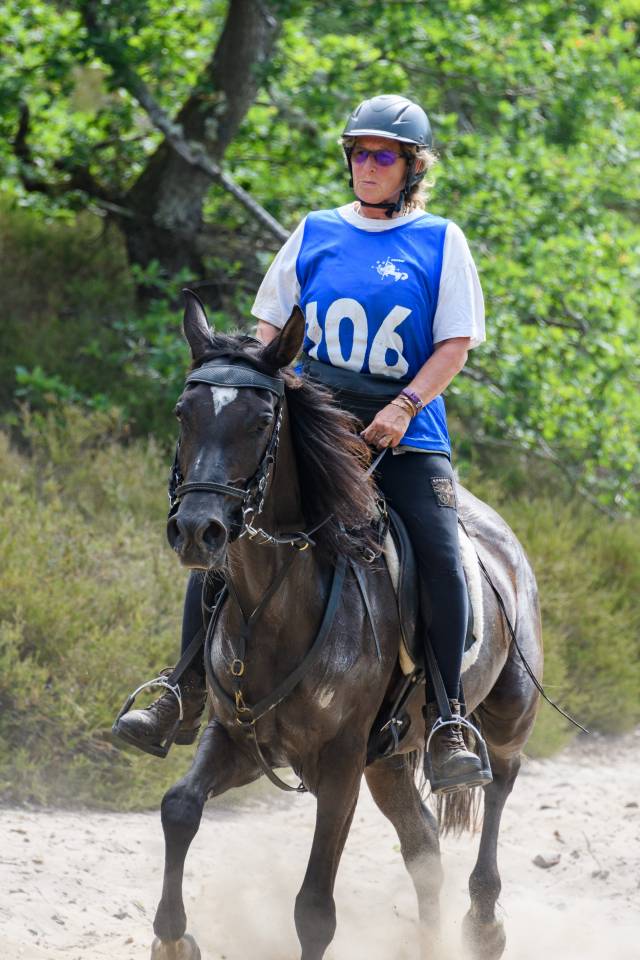 Jument arabe  &Eacute;gyptienne noire homozygote 