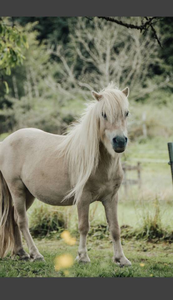 Entier &agrave; vendre 