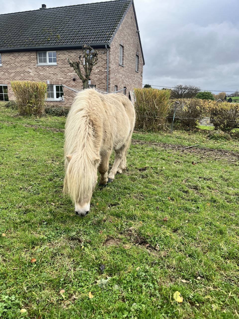 Entier &agrave; vendre 