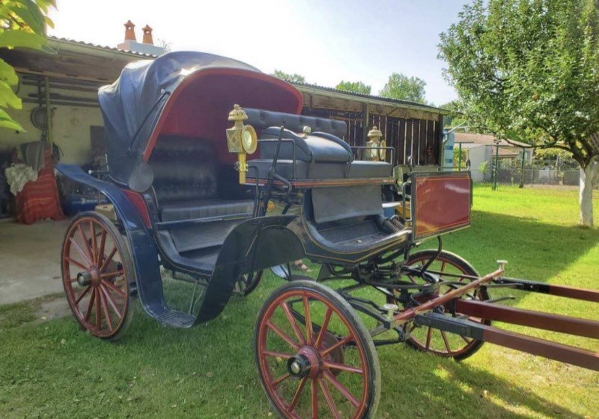 Cal&egrave;che victoria