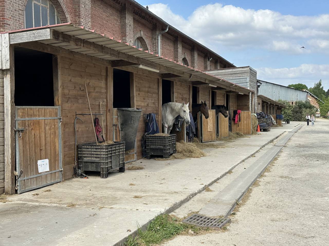 BPJEPS ABBEVILLE SOMME