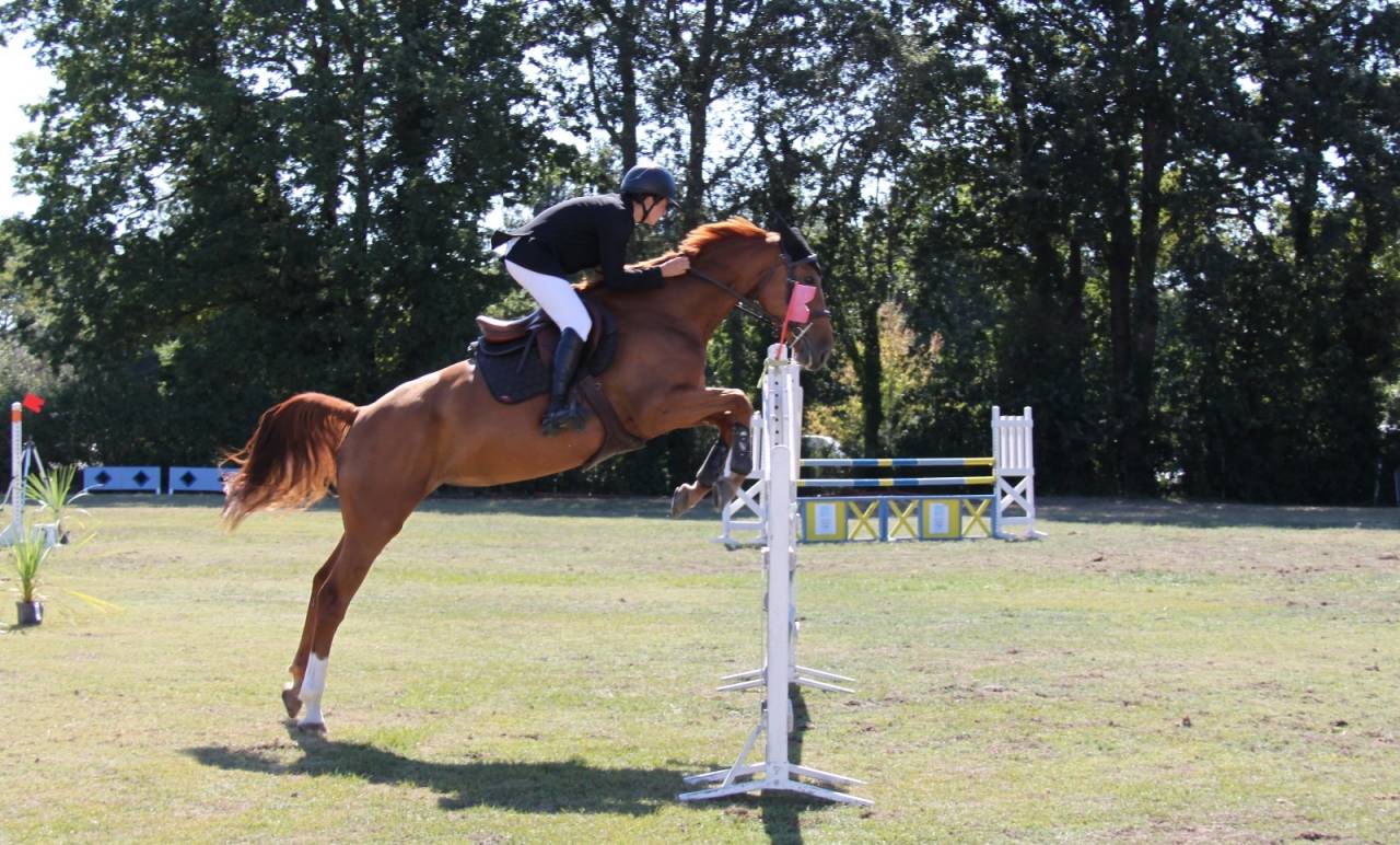 Jument &agrave; vendre ivresse du rablais 