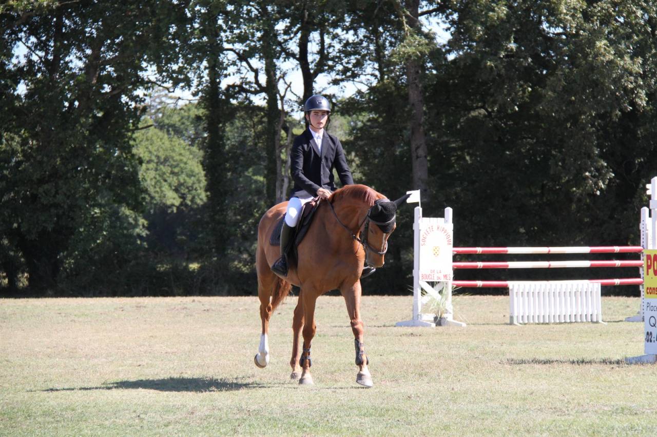 Jument &agrave; vendre ivresse du rablais 