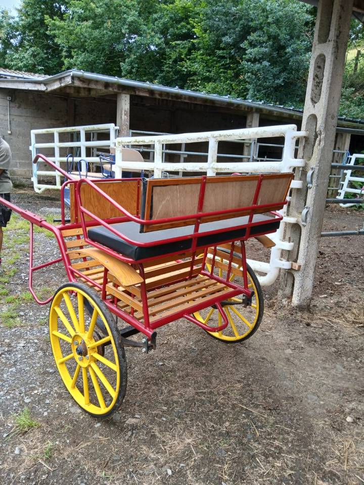 Voiture d'attelage 2 roues - Cheval (50150 Brouains)
