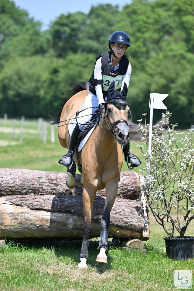 Jument akhal-teke 9 ans