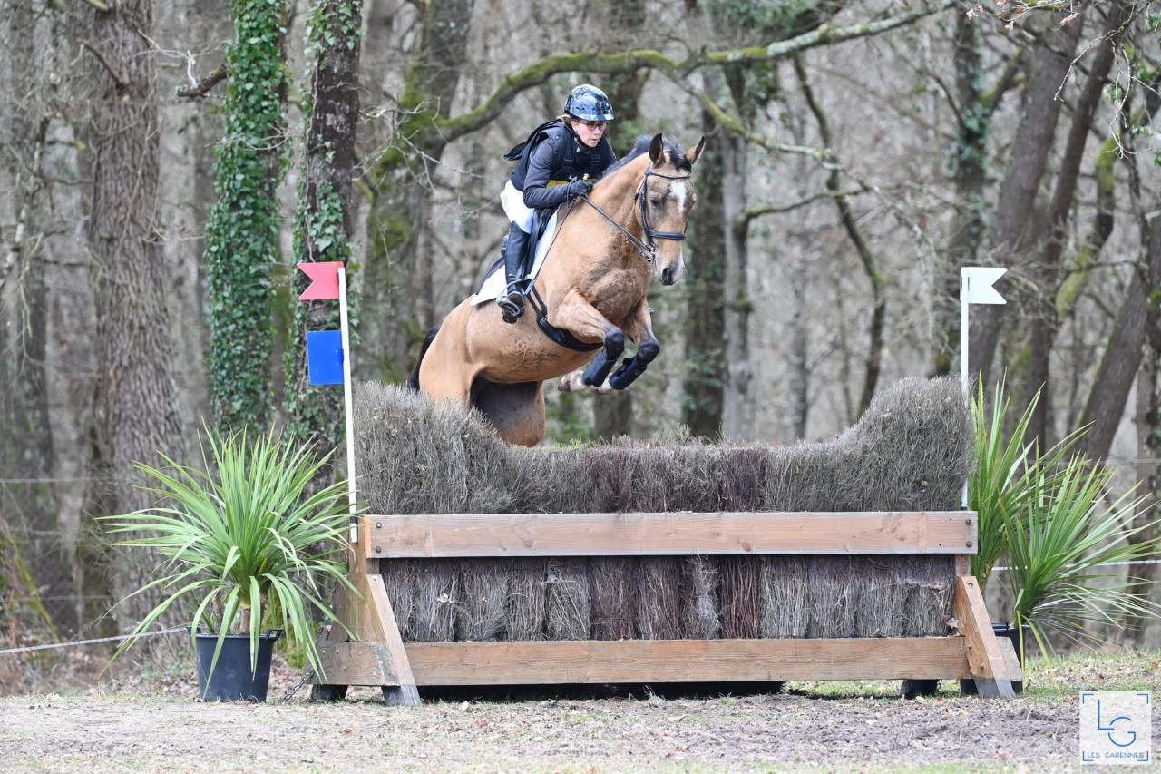 Jument akhal-teke 9 ans