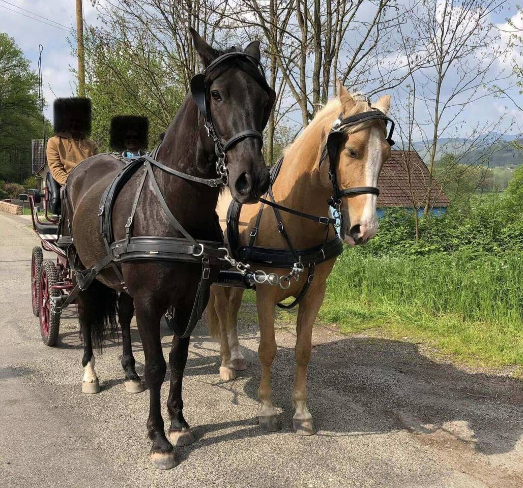 BACO & TANGO &agrave; la vente en France!!