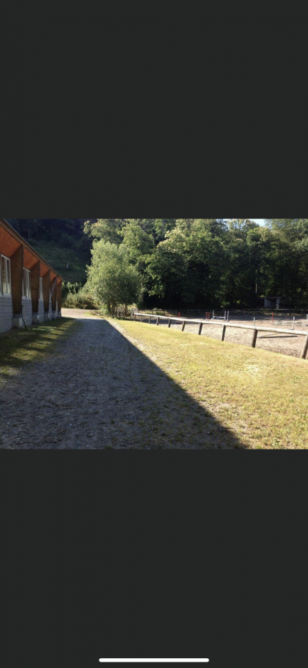&Eacute;curie proche de Thonon les bains 