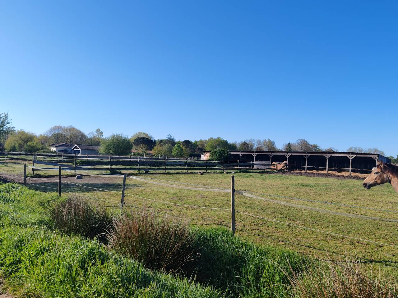 Propri&eacute;t&eacute; &eacute;questre 