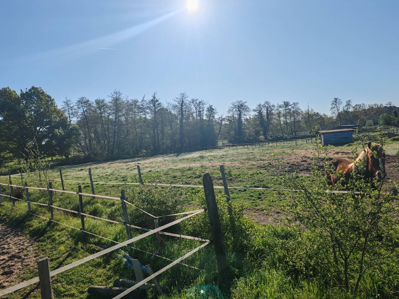 Propri&eacute;t&eacute; &eacute;questre 