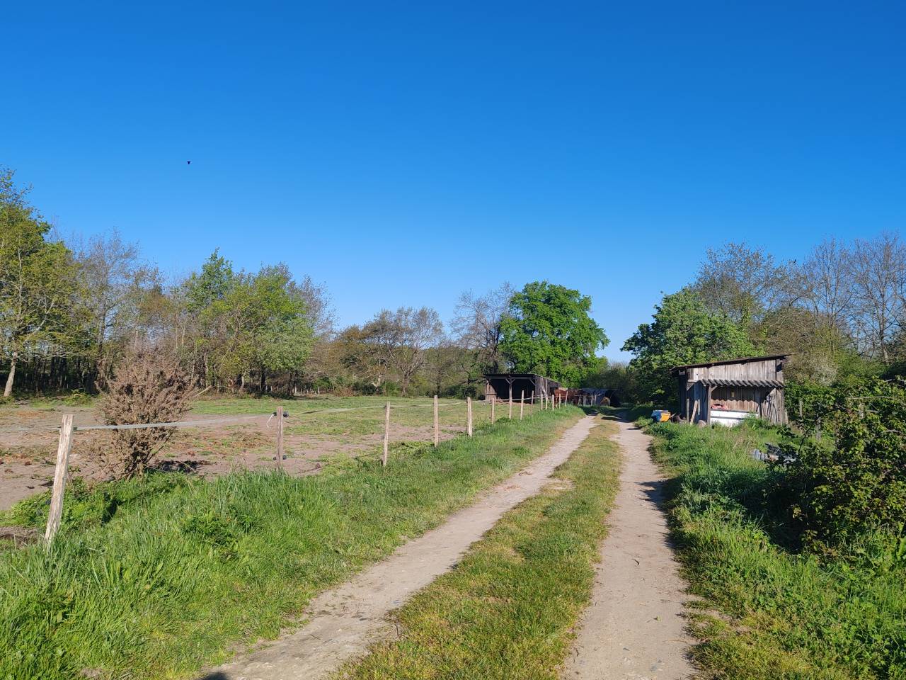 Propri&eacute;t&eacute; &eacute;questre 