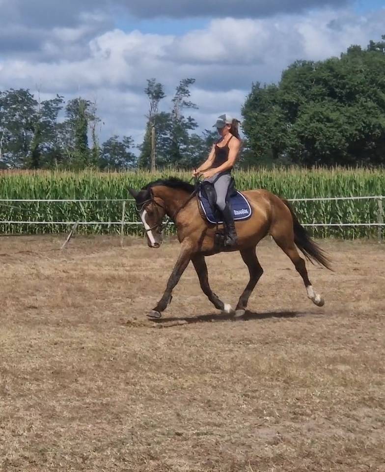 Jument 8 ans CSO polyvalente