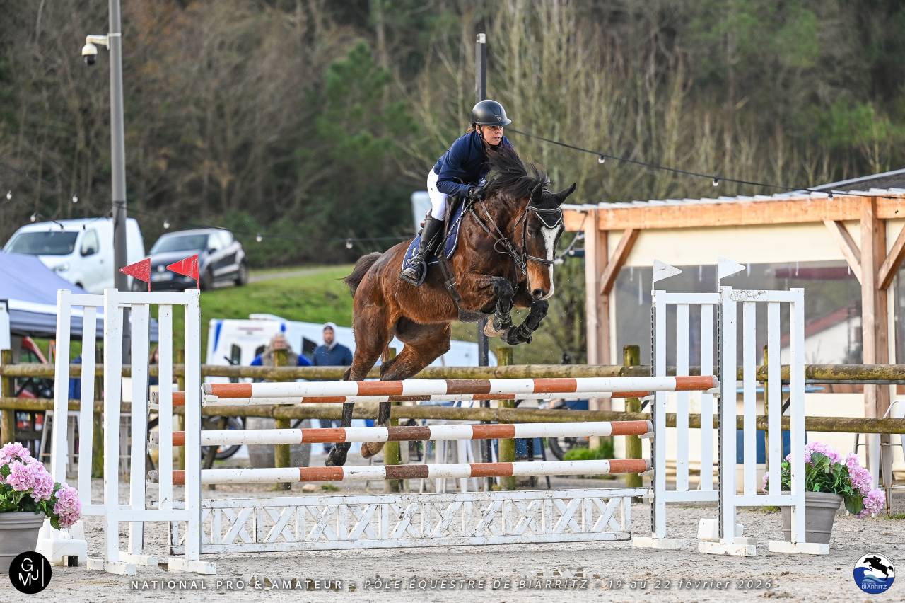 Jument 8 ans CSO polyvalente