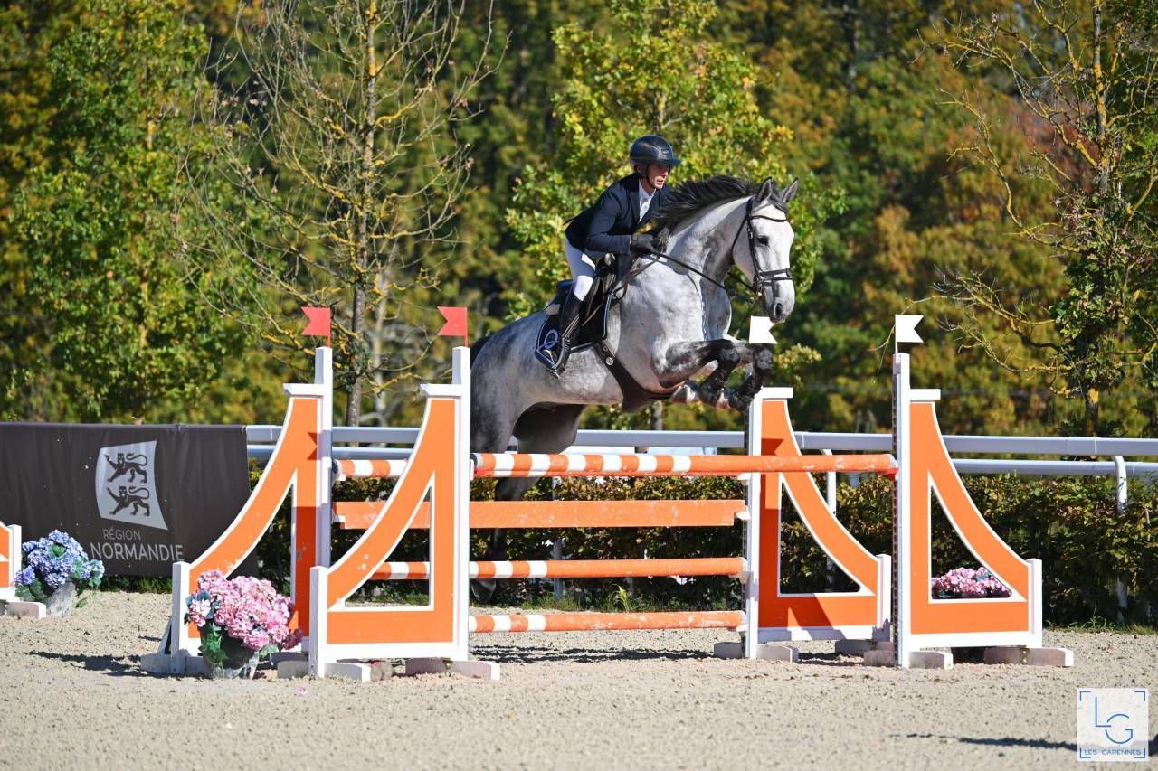 Hongre pour faire AM1/Elite