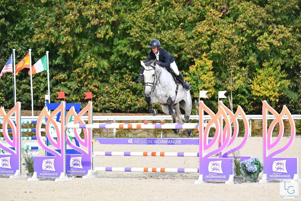 Hongre pour faire AM1/Elite