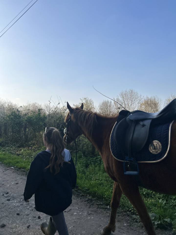 Demi pension de Wiri